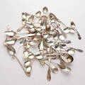 Parti silver 