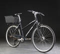 Everton, Damecykel. 5508
