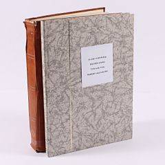 Danmark. 1875-1902. 2 indstiksbøger med i alt ca. 3350 stk. 4 og 8 øre Tofarvet