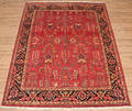 Kashmir Sarouk 243 x 301 cm