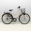 Damcykel