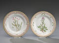 Royal Copenhagen. To Flora Danica tallerkner, 3551 2