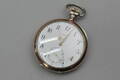 Fickur Zenith