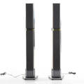 Högtalare 6621 Bang  Olufsen