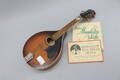 Mandolin