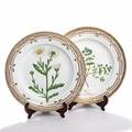 Flora Danica. To middagstallerkener af porcelæn, Kgl. P., dekorerede i farver og guld med blomster. Nr. 3549. Diam. 26. 2