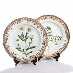 Flora Danica. To middagstallerkener af porcelæn, Kgl. P., dekorerede i farver og guld med blomster. Nr. 3549. Diam. 26. 2