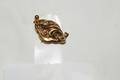 Brosch 18K guld