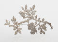 BROSCH