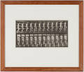 EADWEARD MUYBRIDGE