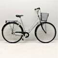 Damcykel