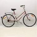 Damcykel