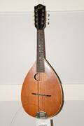 Mandolin Levin