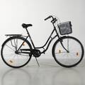 CYKEL dam Logan Bellvue 28 3vxl