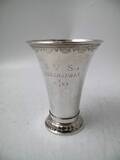 Pokal, Silver