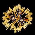 Brosch 18 k guld safirer briljanter