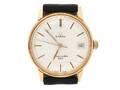 Omega Seamaster 600