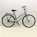 Damcykel