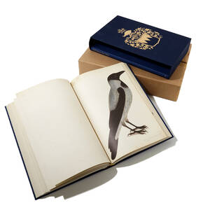 Rudbeck´s Book of birds in facsimile