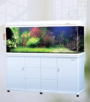 Akvarium med fuldtdækkende armatur, ca 470 L, sort Denne auktion er annulleret2022831