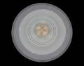 PLAFOND