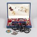 Bijouterier halsband broscher collier