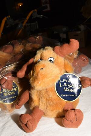 Skrattande älgar, 6 st