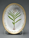 Flora Danica, oval skål, Kgl. Porcelæn