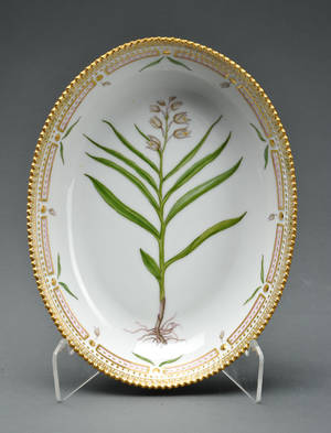 Flora Danica, oval skål, Kgl. Porcelæn
