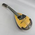 Mandolin