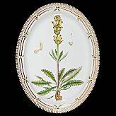 Stekfat Flora Danica