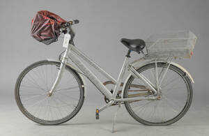 Raleigh, damecykel. 5828
