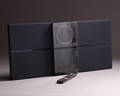Bang  Olufsen. Beosound Century 2