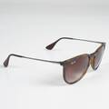 SOLGLASÖGON Ray-Ban RB4171