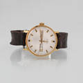 ARMBANDSUR