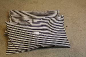 2 BLÅVITRANDIGA DYNOR