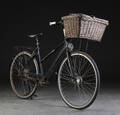 Nishiki. Damecykel, 8027