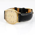 ARMBANDSUR
