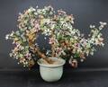 Porslinsblomma