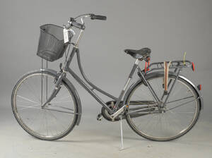 Ebsen, damecykel. 5638