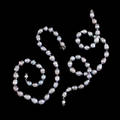 PÄRLCOLLIER