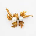 BROSCH