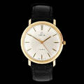 ARMBANDSUR