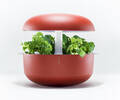 Plantui, Smart Garden, indendørs køkkenhave, rød