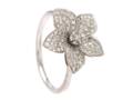RING, 18K