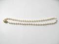 Pärlcollier