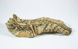 Alf Ekberg. Väggskulptur, stengods