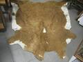 Koskinn