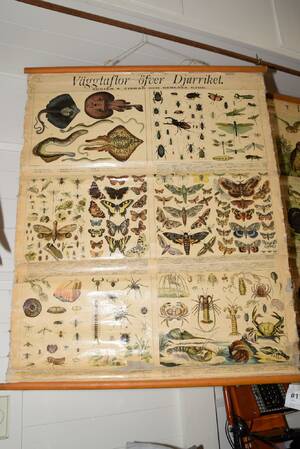 Skolplansch 90x75 cm