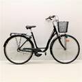 Damcykel Monark